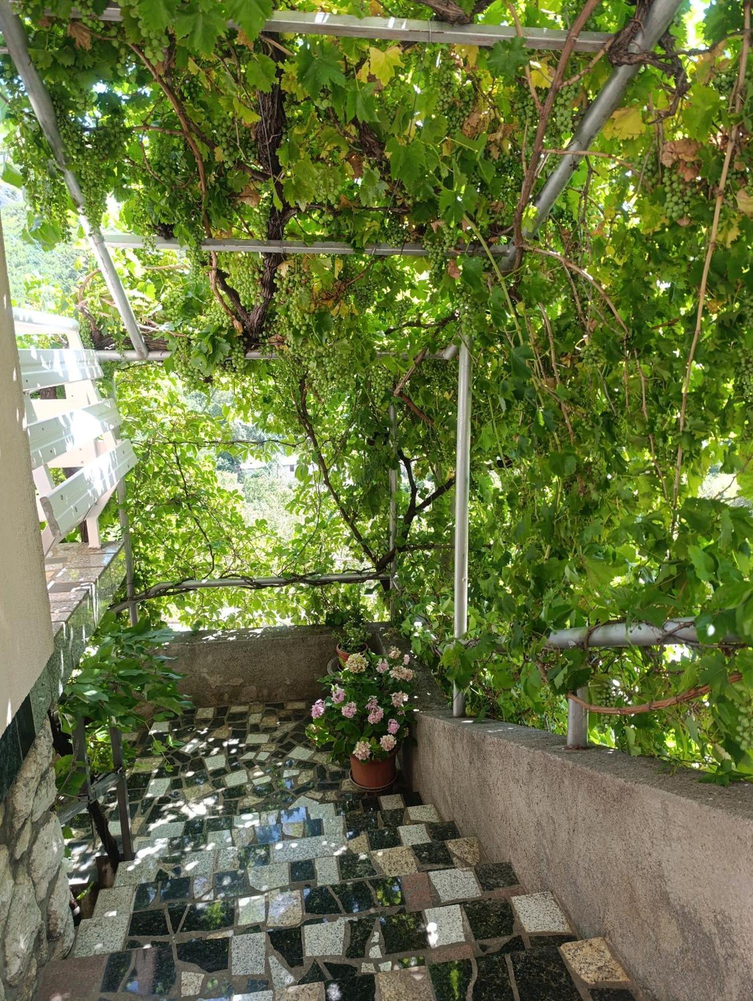 Apartment Rita سينج المظهر الخارجي الصورة